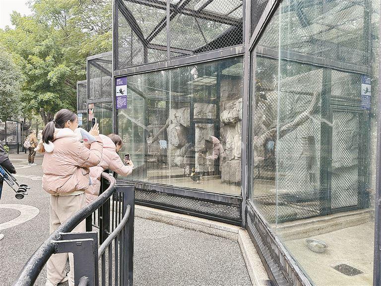 不乱投喂不扔垃圾 游客文明游览动物园